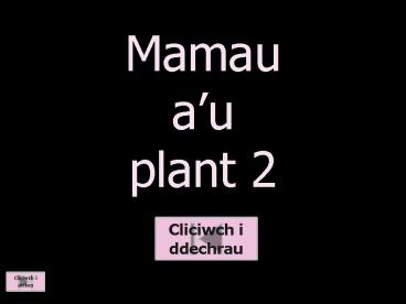 Mamau au plant 2