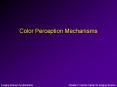 Color Perception Mechanisms PowerPoint PPT Presentation