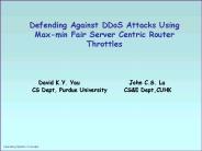 Defending Against DDoS Attacks Using Maxmin Fair Server Centric Router Throttles