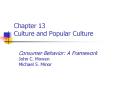 Chapter 13 Culture and Popular Culture PowerPoint PPT Presentation