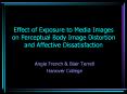 Effect of Exposure to Media Images on Perceptual Body Image Distortion and Affective Dissatisfaction PowerPoint PPT Presentation