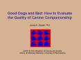 Good Dogs and Bad: How to Evaluate the Quality of Canine Companionship PowerPoint PPT Presentation
