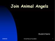 Join Animal Angels