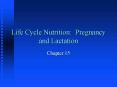Life Cycle Nutrition: Pregnancy and Lactation PowerPoint PPT Presentation