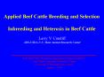 Applied Beef Cattle Breeding and Selection PowerPoint PPT Presentation