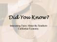 Did You Know PowerPoint PPT Presentation