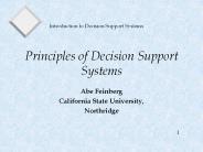 Principles of Decision Support Systems