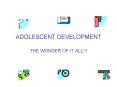 ADOLESCENT DEVELOPMENT THE WONDER OF IT ALL PowerPoint PPT Presentation