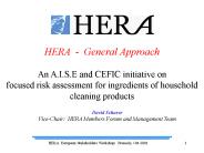 HERA - General Approach