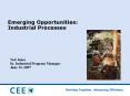 Emerging Opportunities: Industrial Processes PowerPoint PPT Presentation