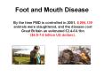 Foot and Mouth Disease PowerPoint PPT Presentation