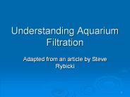 Understanding Aquarium Filtration