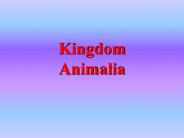 Kingdom Animalia