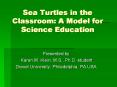 Sea Turtles in the Classroom: A Model for Science Education PowerPoint PPT Presentation