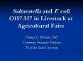 Salmonella and E coli O157:H7 in Livestock at Agricultural Fairs PowerPoint PPT Presentation