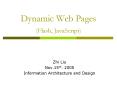 Dynamic Web Pages Flash, JavaScript PowerPoint PPT Presentation