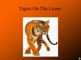 Tigers On The Loose PowerPoint PPT Presentation
