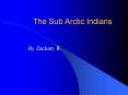 The Sub Arctic Indians PowerPoint PPT Presentation