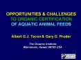 OPPORTUNITIES PowerPoint PPT Presentation