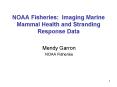 NOAA Fisheries: Imaging Marine Mammal Health and Stranding Response Data PowerPoint PPT Presentation