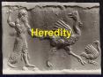 Heredity PowerPoint PPT Presentation