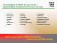 Wildlife Ecology PowerPoint PPT Presentation