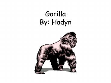 Gorilla By: Hadyn