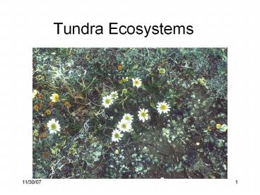 Tundra Ecosystems