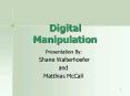 Digital Manipulation PowerPoint PPT Presentation