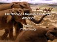 Pleistocene Mammals of North America PowerPoint PPT Presentation