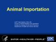 Animal Importation PowerPoint PPT Presentation
