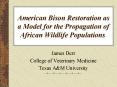 American Bison Restoration as a Model for the Propagation of African Wildlife Populations PowerPoint PPT Presentation