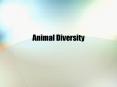 Animal Diversity PowerPoint PPT Presentation
