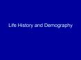 Life History and Demography PowerPoint PPT Presentation
