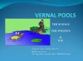 VERNAL POOLS PowerPoint PPT Presentation