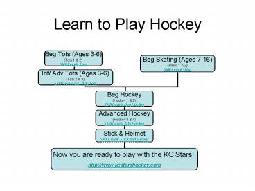 Learn to Play Hockey
