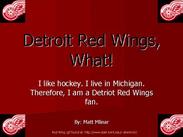 Detroit Red Wings, What