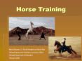 Horse Training PowerPoint PPT Presentation
