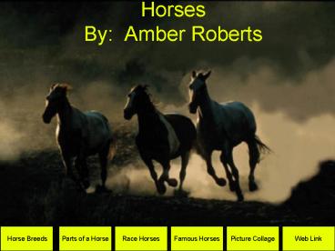 Horses By: Amber Roberts