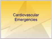 Cardiovascular%20Emergencies