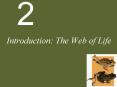 Introduction: The Web of Life PowerPoint PPT Presentation
