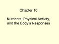 Chapter 10 Nutrients, Physical Activity, and the Bodys Responses PowerPoint PPT Presentation