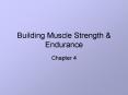 Building Muscle Strength PowerPoint PPT Presentation