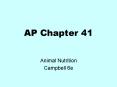 AP Chapter 41 PowerPoint PPT Presentation