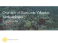 Overview of Economic Valuation PowerPoint PPT Presentation