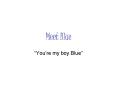 Meet Blue PowerPoint PPT Presentation
