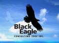 What is Black Eagle Consulting 2000 Inc' PowerPoint PPT Presentation