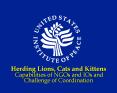 Herding Lions, Cats and Kittens Capabilities of NGOs and IOs and Challenge of Coordination PowerPoint PPT Presentation
