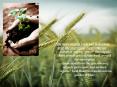 Offer more organic foods and make them available year round via greenhouse PowerPoint PPT Presentation