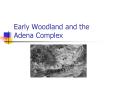 Early Woodland and the Adena Complex PowerPoint PPT Presentation